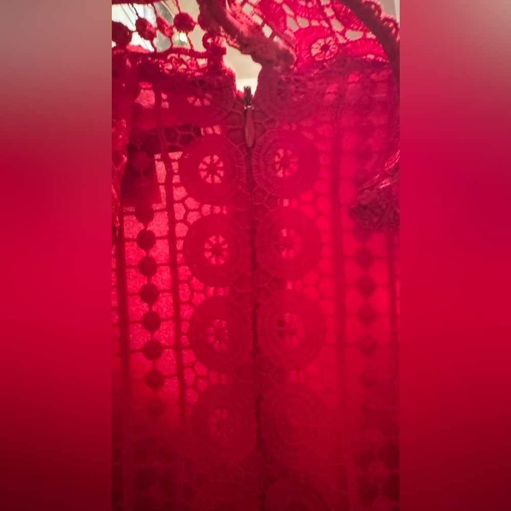 French Connection Lace Red Balloon Sleeve V-Neck Dress - Picture 8 of 13